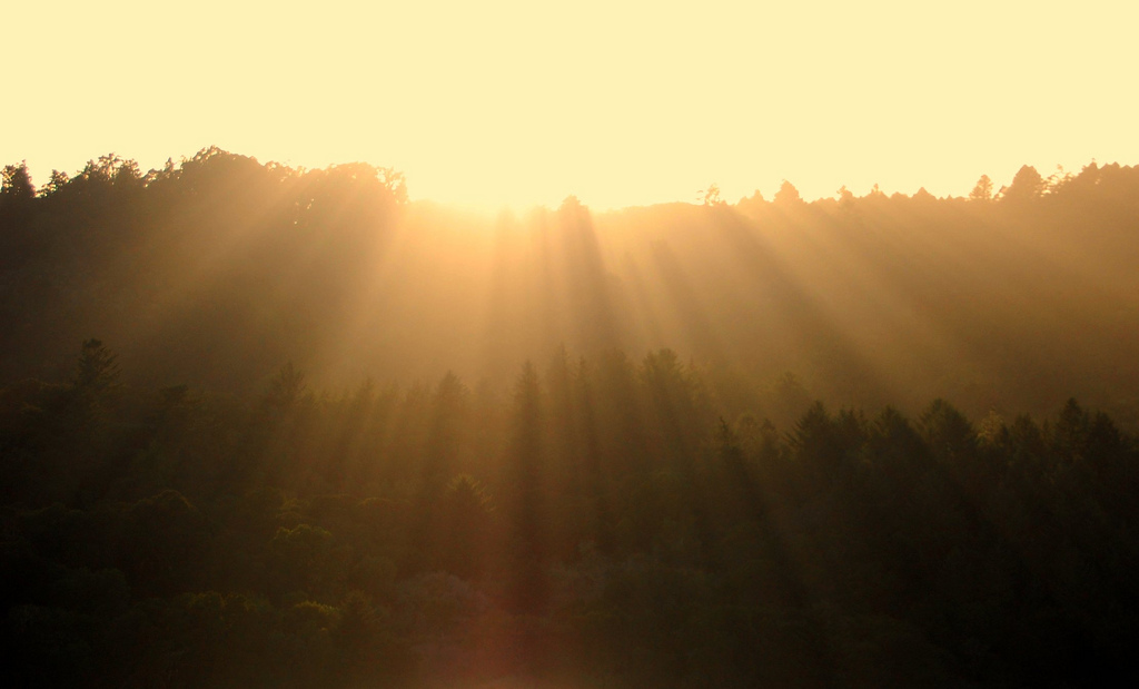 Sunny Weather Could be Connected to Suicide Rates - SavingAdvice.com