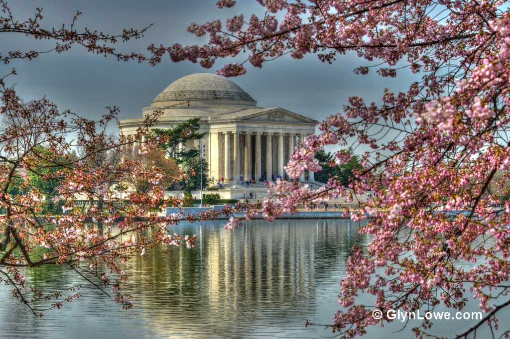 National Park Service Announces Cherry Blossom Festival Dates Saving