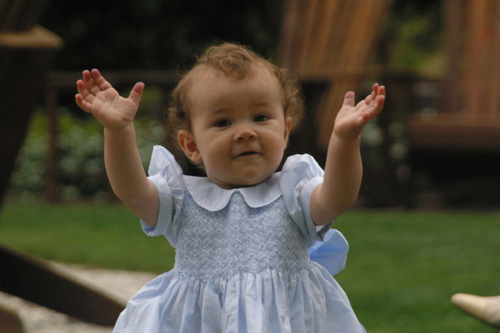 margot at the wedding