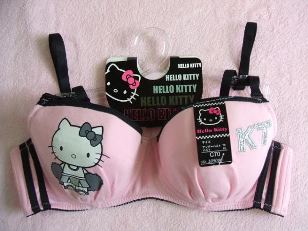Hello Kitty Hell – Page 102 – One mans hell with cute overload