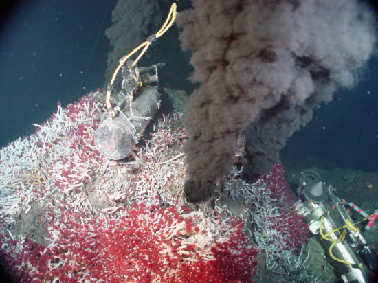 Deep sea bacteria 2 billion years old is the same as bacteria today