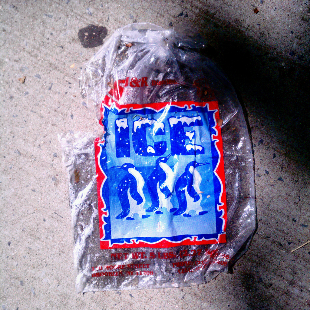 Does Costco Sell Ice? Blog