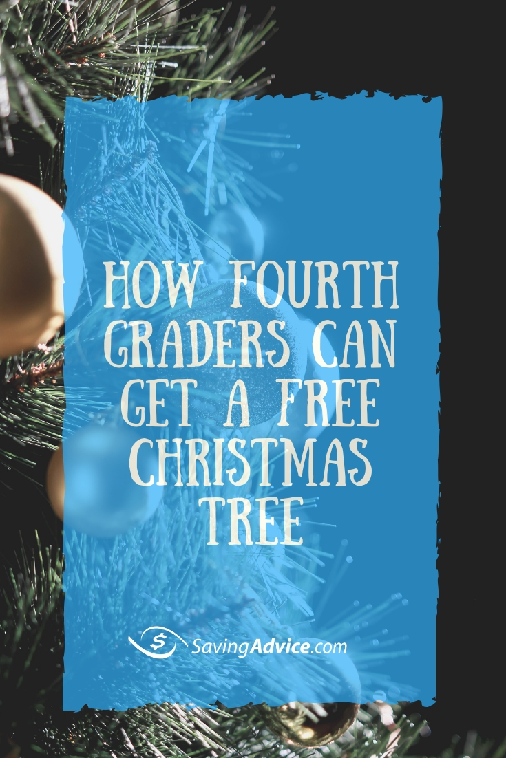 the-every-kid-in-the-park-initiative-will-give-fourth-graders-a-free-christmas-tree