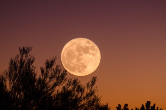 How To See The 'Super Blue Blood Moon' On January 31