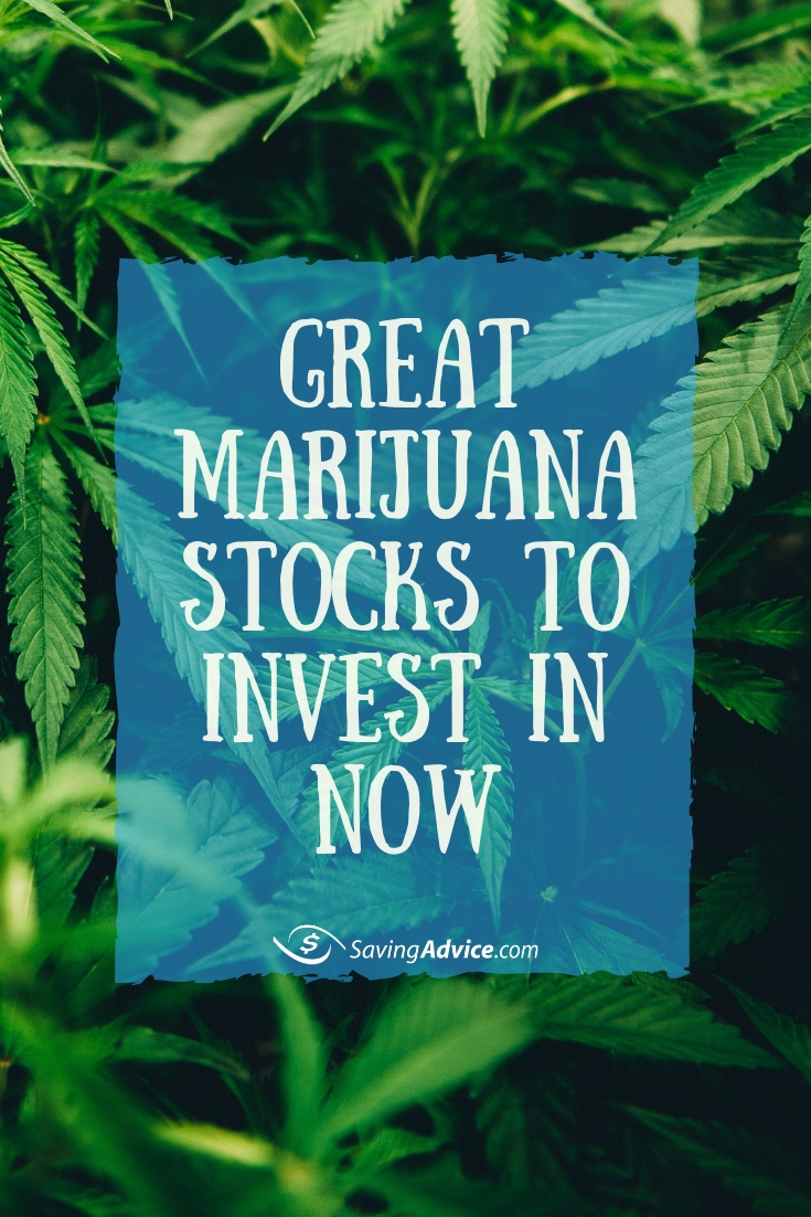 Great Marijuana Stocks to Invest in Now Blog