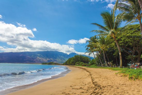 costco vacation packages maui