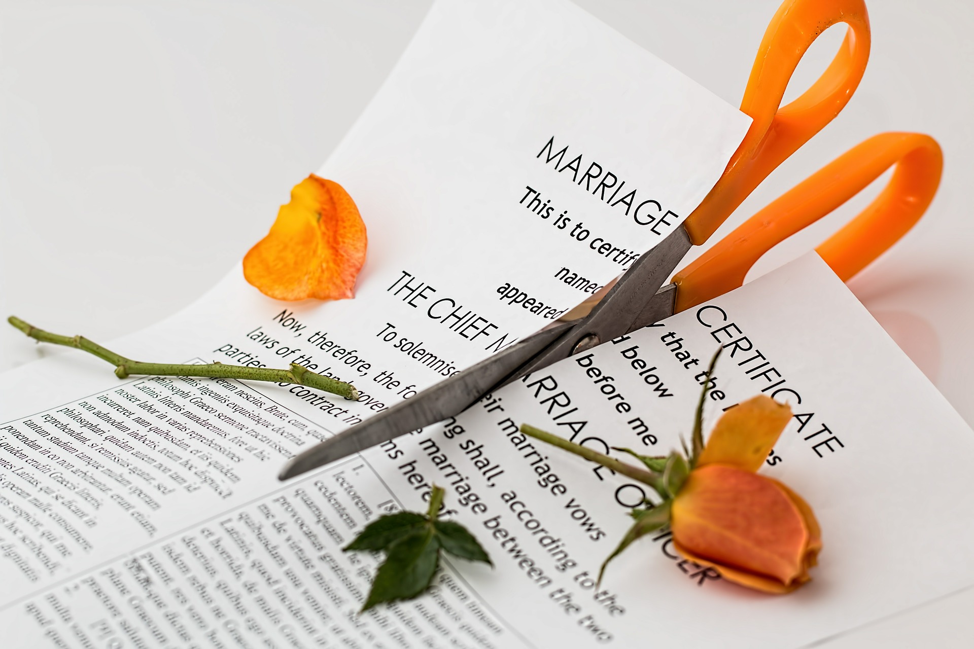 How Much Does a Divorce Really Cost? Blog
