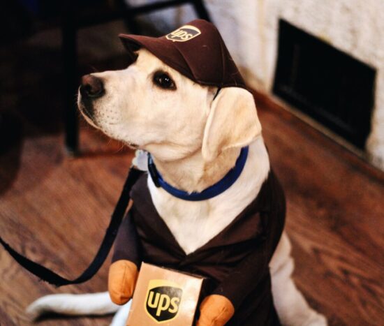 are dogs allowed in ups stores