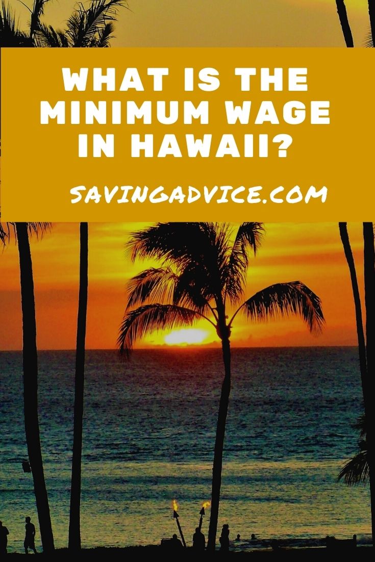 What Is the Minimum Wage in Hawaii? Blog