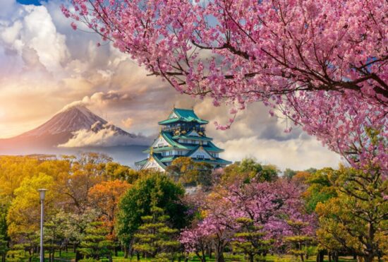 Osaka Castle in Japan with Cherry Blossoms in the foreground
