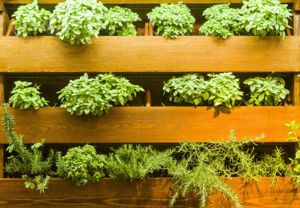 growing herbs and produce will give you better items for less