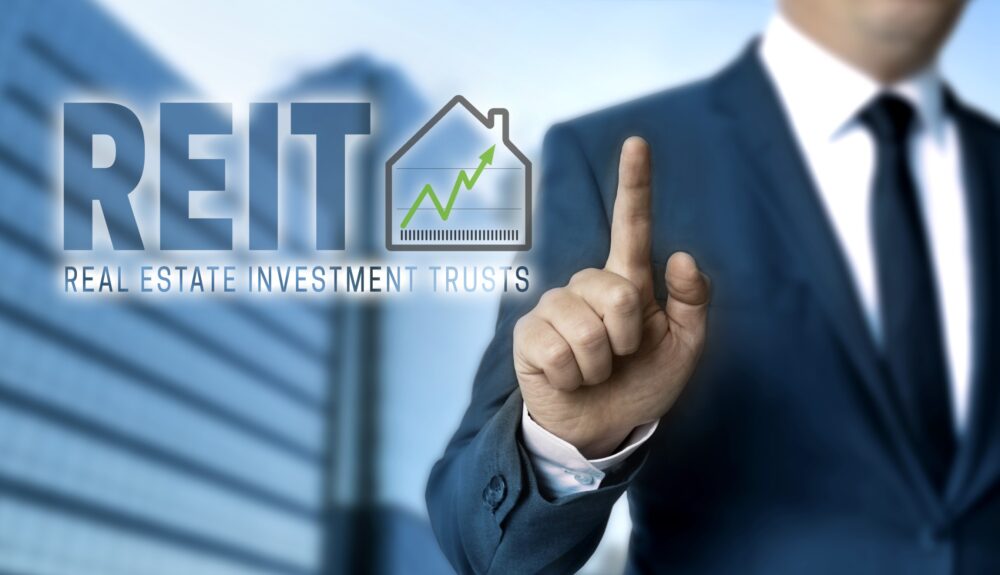 Real Estate Investment Trusts (REITs)