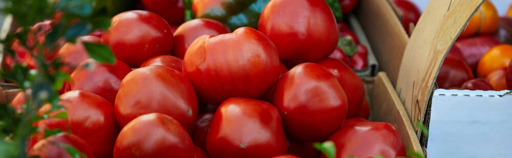 Uma cesta cheia de tomates maduros