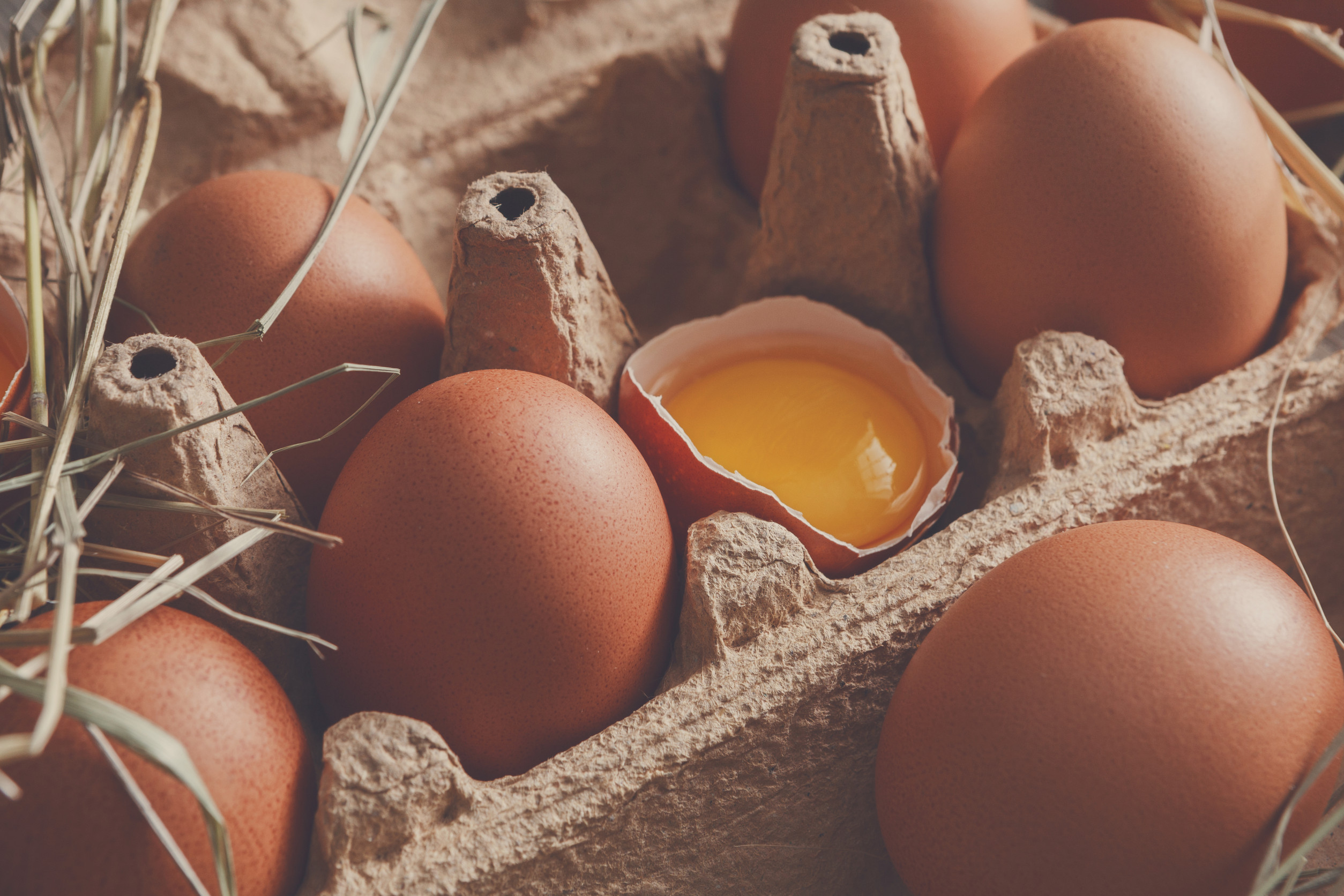 egg prices rise in 2025