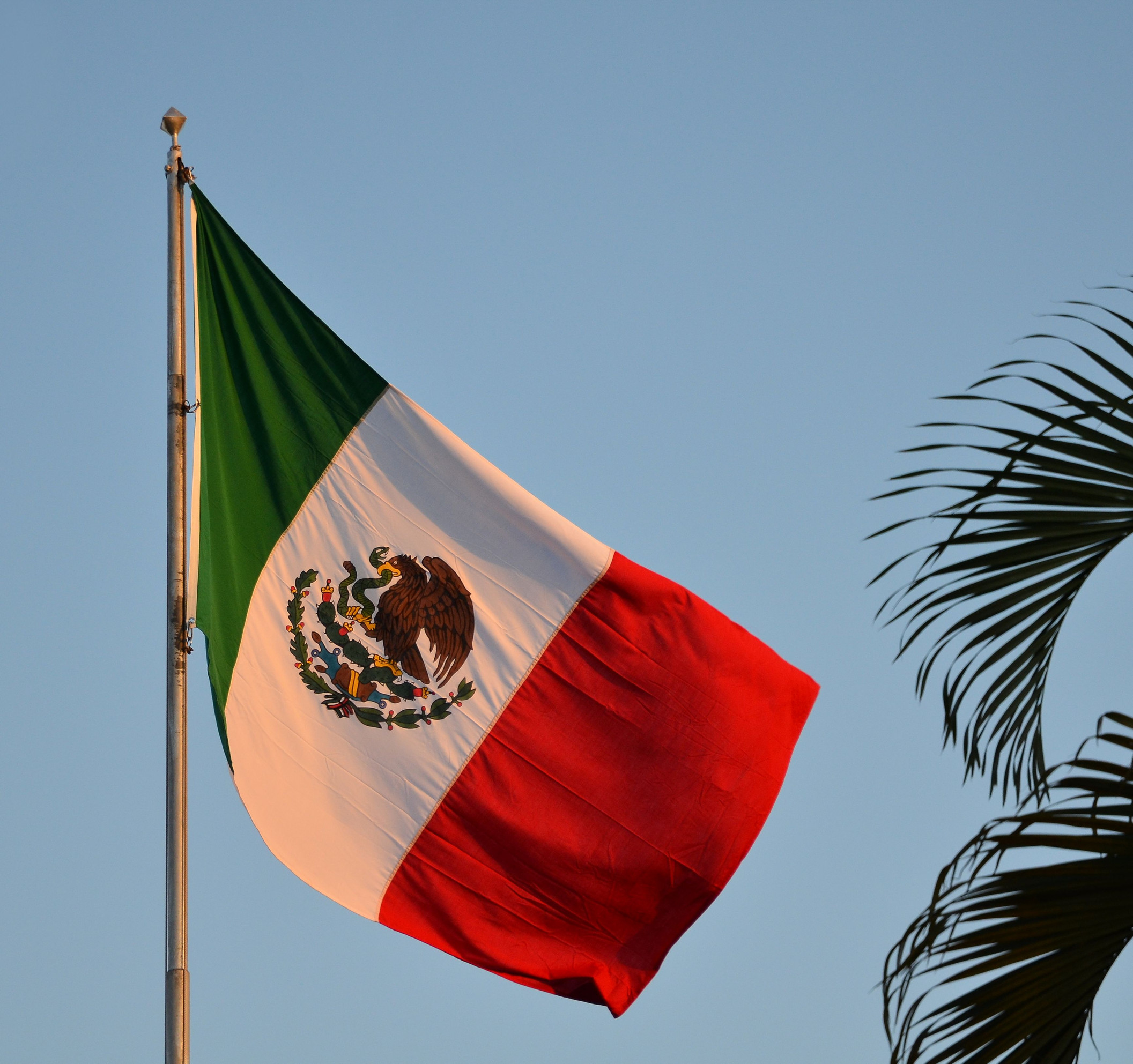 Mexican flag