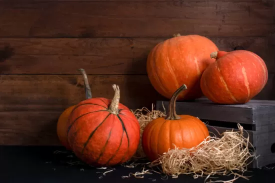 Places to Get Free Pumpkins